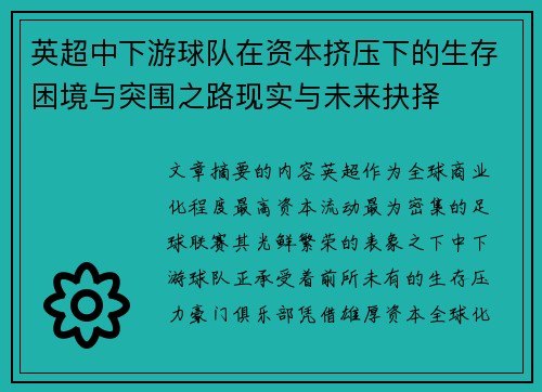 英超中下游球队在资本挤压下的生存困境与突围之路现实与未来抉择