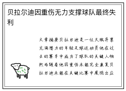 贝拉尔迪因重伤无力支撑球队最终失利 贝拉尔迪因重伤无力支撑球队最终失利